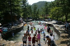 순서대로 희리산자연휴양림, 백운산자연휴양림, 덕유산자연휴양림의 모습.