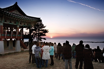 매년 3월경이면 마량리 동백나무 숲에는 빨간 동백이 활짝 핀다. 이곳은 일몰 풍경으로도 유명하다.