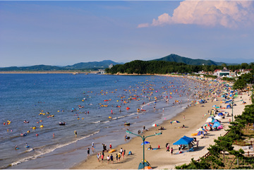 위에서부터 순서대로 춘장대해수욕장과 문헌서원, 희리산자연휴양림과 천방산 풍광