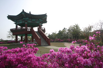 위에서부터 순서대로 춘장대해수욕장과 문헌서원, 희리산자연휴양림과 천방산 풍광