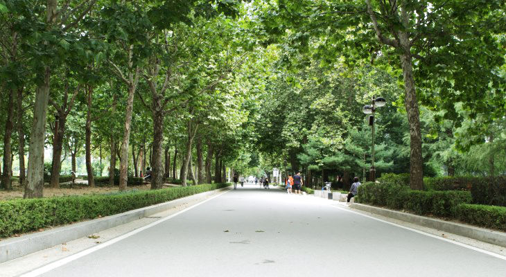 동작구에 위치한 보라매공원은 옛 공군사관학교 자리에 조성한 대규모 공원이다.