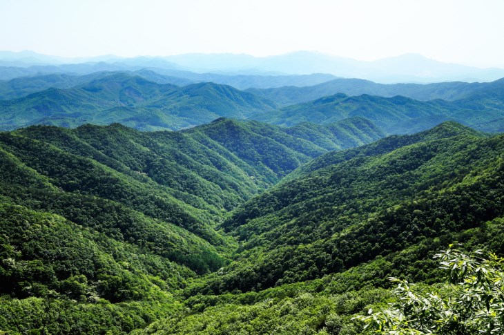 칠갑산은 산세가 수려하고 아름다워 '충남의 알프스'라는 별칭을 지니고 있다.