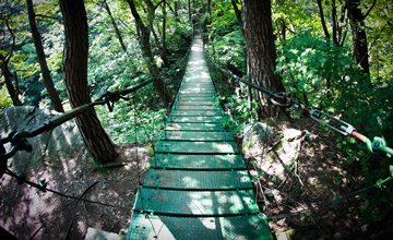 출렁거리는 다리를 따라 흥미진진한 숲 속으로 들어가보자.