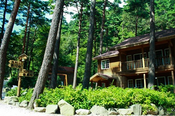 휴양림 체험객들의 숙박을 책임지는 숲속의 집