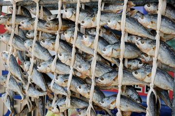 영광굴비는 2015년 대한민국 대표 브랜드로도 선정됐다.