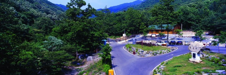 제3경인 성주산 자연휴양림에서는&nbsp;활엽수가 많아 한 여름에도 시원함을 느낄 수 있다.