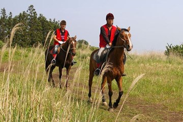 제주에서는 다양한 레포츠를 즐길 수 있다. 순서대로&nbsp;승마, 패러글라이딩, 윈드서핑, 카약 체험의 모습.