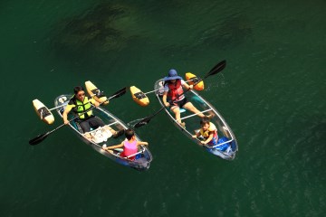 제주에서는 다양한 레포츠를 즐길 수 있다. 순서대로&nbsp;승마, 패러글라이딩, 윈드서핑, 카약 체험의 모습.