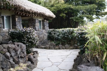 제주인들은 예부터&nbsp;화산 활동으로 만들어진 화강암을 이용해 돌담을 조성해왔다.