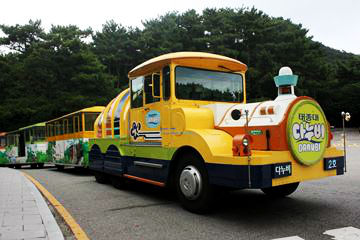 태종대 다누비 열차를 이용하면 편안하게 태종대 곳곳을&nbsp;둘러 볼 수 있다.