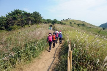 승학산은 가을철 아름다운 억새 군락으로도 유명하다.