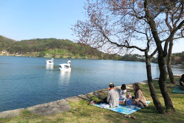 의림지로 나들이를 나온 한 가족이 단란한 한&nbsp;때를 보내고 있다.&nbsp;