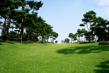 푸름 가득한 청계목장에서 다채로운 체험을 즐길 수 있다.