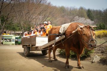 동·식물과의 교감을 통해&nbsp;자연을 느낄 수 있는 한터조랑말 농장이다.