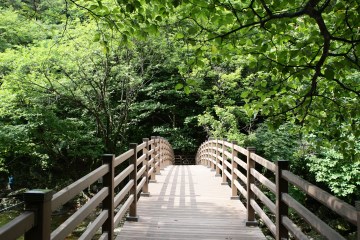 덕유산으로 오르는 길. 곱게 정돈된 등산로와 굽이굽이 흐르는 계곡물이 인상적이다.