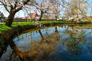 아름다운 정원림을 간직한 임대정 원림 풍경.&nbsp;