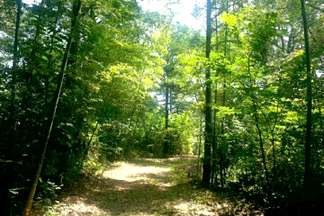 캠핑장에서 시작되는 산책로를 따라 걷다 보면 금성산성을 만날 수 있다.