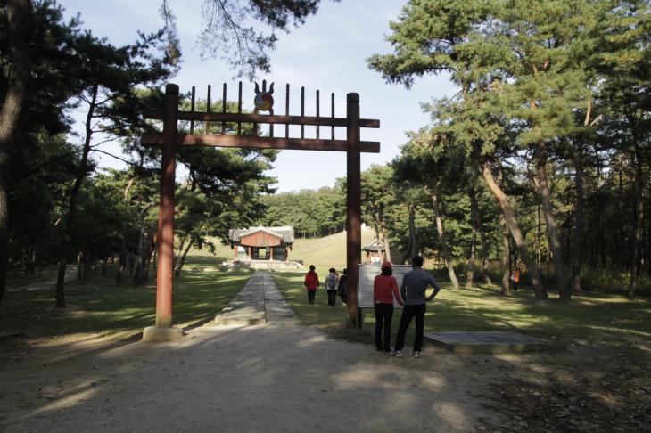 양 옆으로 소나무가 심어진 길을 따라가면 예종의 창릉을 만날 수 있다.