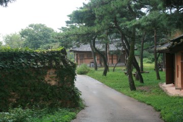 선병국가옥은 자연 속에 자리 잡고 있다.