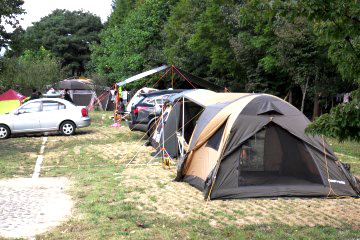 평사리공원 야영장의 한쪽은&nbsp;울창한 소나무 숲, 다른 한쪽은 섬진강과 맞닿아 있다.