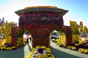 출입구로 사용되는 고도의 문도 국화로 장식되어있다.