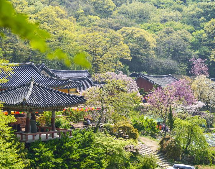 개심사는 자연과의 조화가 뛰어난 사찰이다.