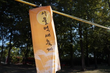 매년 가을, 하늘공원에서 열리는 서울억새축제