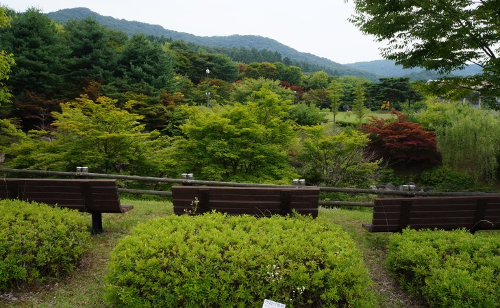 주로 활엽수가 많이 심어져 있는 금강자연휴양림