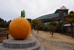 감귤박물관의 곳곳에는 귤모형 조형물이 많다.