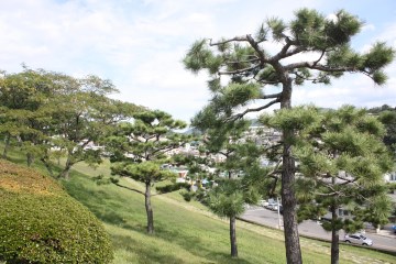 복천동 고분군은 공원으로 조성되어 있어 산책의 즐거움도 있다.