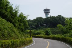 울창한 수목 사이로 고개를 빼꼼히 내미는 밀마루전망대