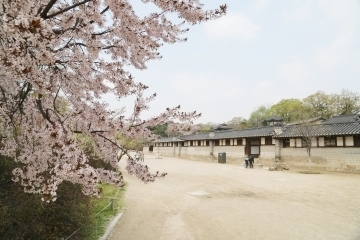 누구나 자유롭게 방문할 수 있는 고궁