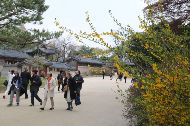 국내외 관광객들 모두를 사로잡은 조선의 궁궐