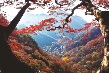 가을의 그윽함이 담긴 백암산 단풍