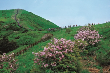 12자락길이라고도 하는 소백산길은 소백산의 12가지 매력을 보여주는 코스이다.