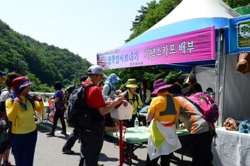 오감이 즐거운 소백산철쭉제는 영주시를 소개하는 중요한 축제이기도 하다.