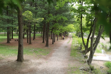 속리산과 대청호는 유명 자연관광지이다.