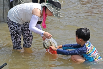 은어 맨손잡기 체험은 물놀이와 체험을 동시에 진행하는 기분이다.