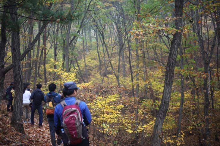 속리산은 수려한 산세와 아름다운 풍광 때문에 '한국팔경' 중 하나로 꼽힌다.