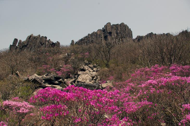 노을빛을 받으면 수정처럼 빛난다하여 수정병풍이라 불리는 입석대