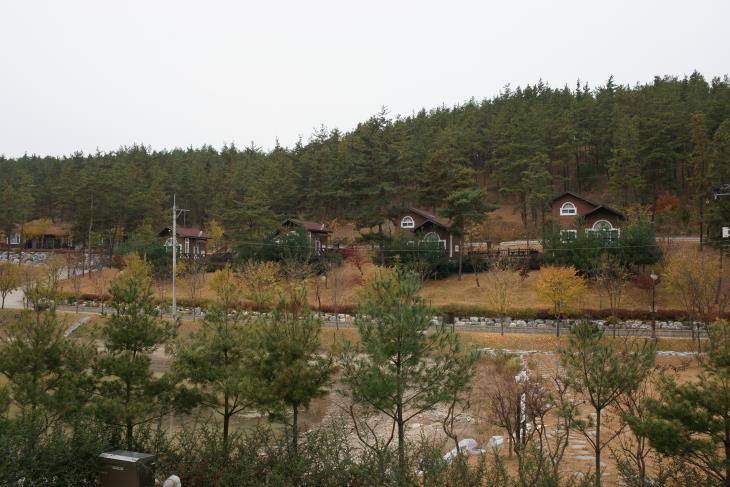 영천시 운주산 승마자연휴양림에서는 자연휴양과 승마를 한곳에서 즐길 수 있다.