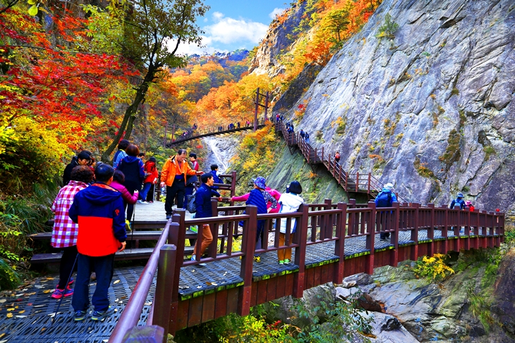 설악산 단풍과 함께하는, 제53회 설악문화제 산악페스티벌,,트래블투데이,여행기사,트래블아이