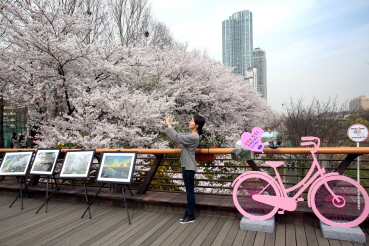 밀리리교 포토존