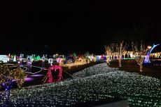 별빛, 겨울밤을 수놓다, 울산대공원 장미원 빛 축제 ,울산광역시 남구,체험,여행기사,트래블아이