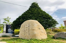 세계가 주목하게 된 안동 로열 웨이(Royal way), 국내여행, 여행정보