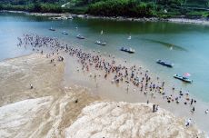 하동 섬진강재첩축제 3년만에 다시 열린다., 국내여행, 여행정보