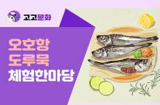  고성군, 2023년 오호항 도루묵 체험 한마당 개최, 국내여행, 여행정보