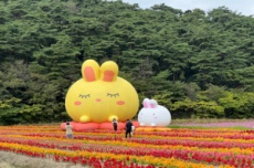 세계유산도시 고창에 활짝핀 꽃정원 ‘관광객 사로잡는다’, 국내여행, 여행정보