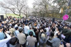 경주 대표 벚꽃 명소, 2025 경주 대릉원돌담길 축제 내달 4일 개막, 국내여행, 여행정보