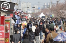 청주시, 벚꽃과 함께하는 청주 푸드트럭축제 4월 4~6일 개최, 국내여행, 여행정보